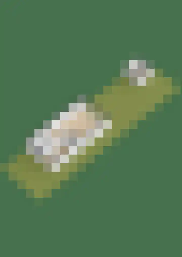 Koolzaadlaan 19 Zeewolde thumbnail 36