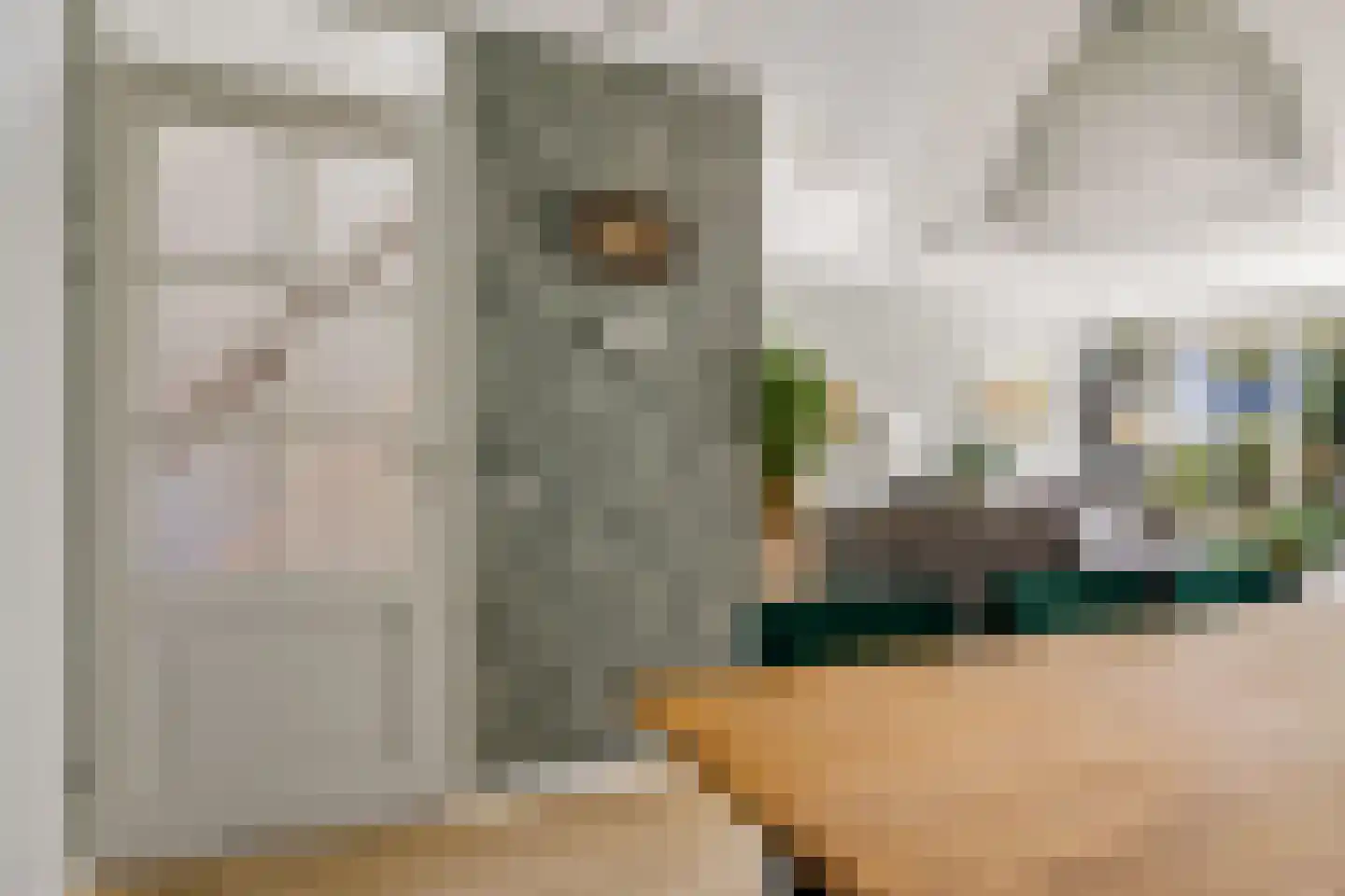 Koolzaadlaan 37 Zeewolde thumbnail 21