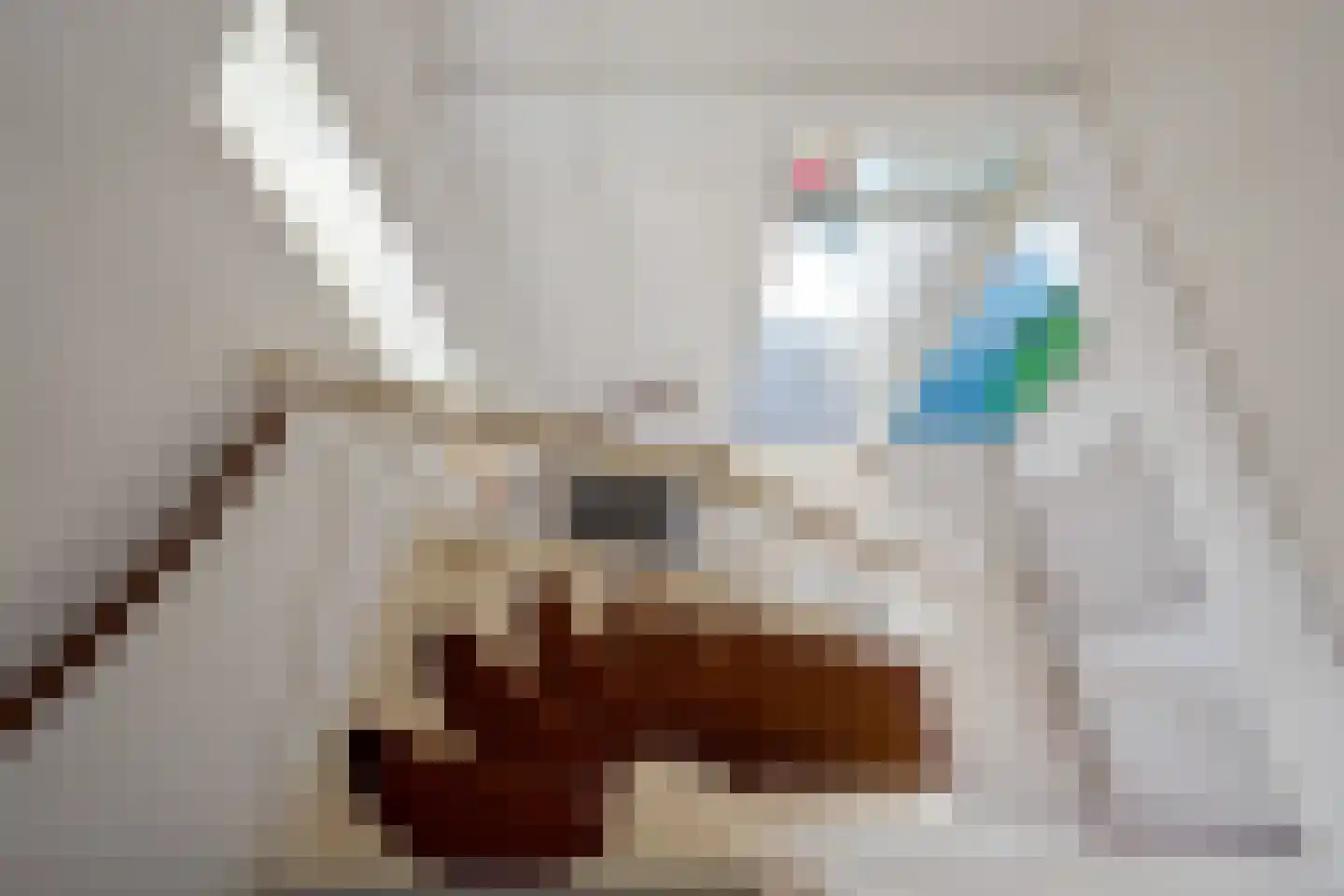 Koolzaadlaan 37 Zeewolde thumbnail 42