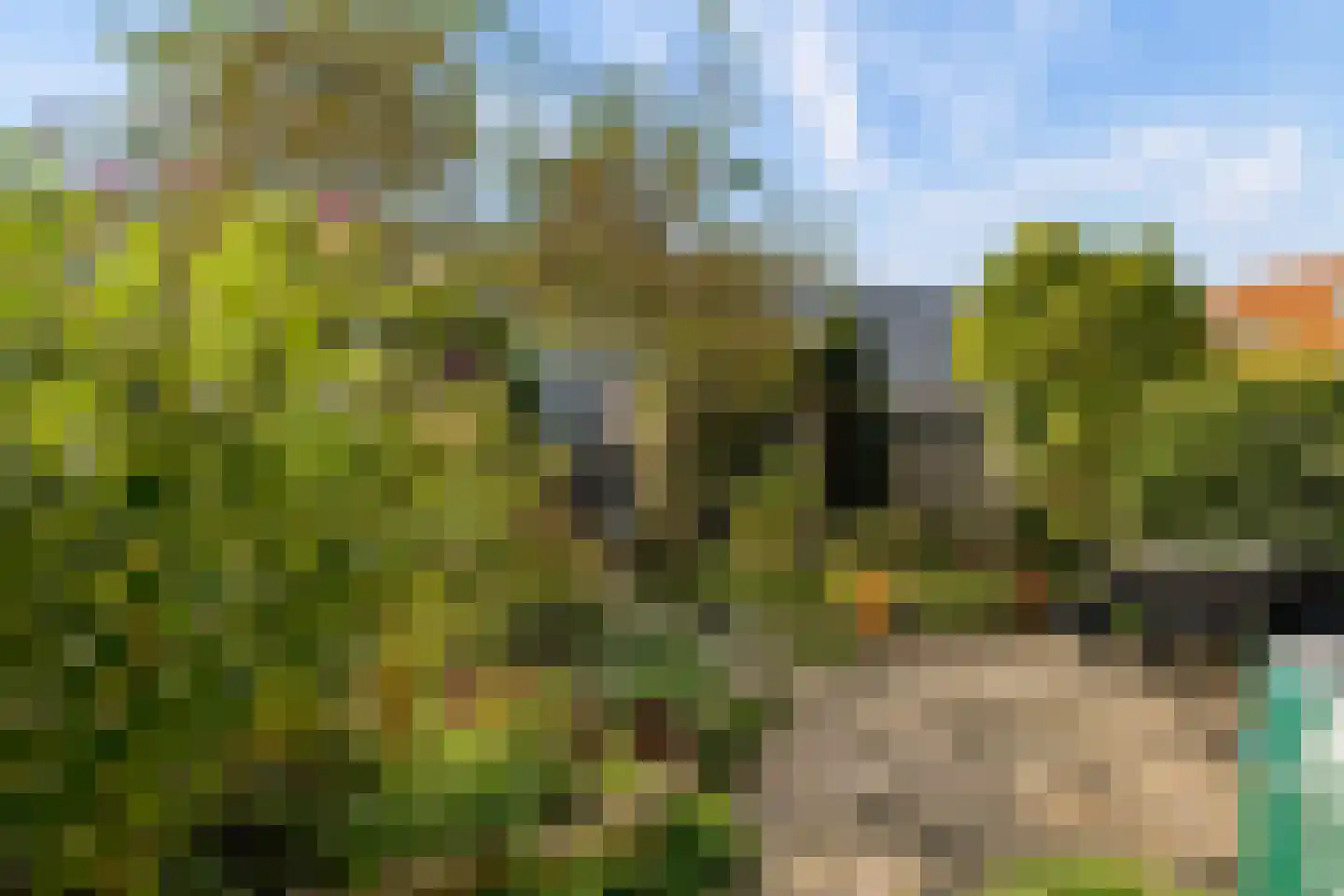 Koolzaadlaan 37 Zeewolde thumbnail 49