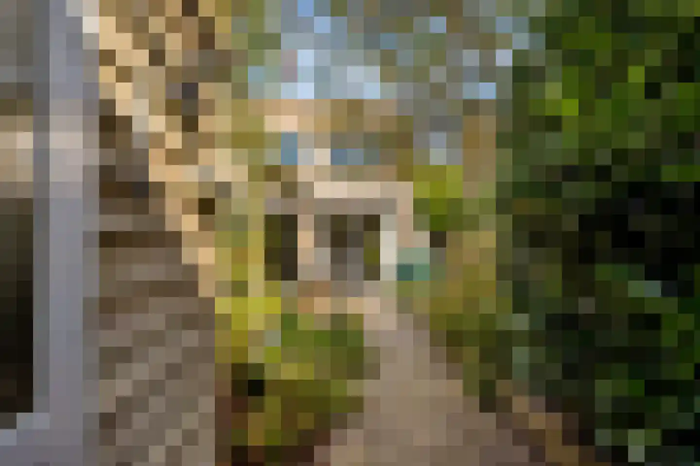 Koolzaadlaan 37 Zeewolde thumbnail 52