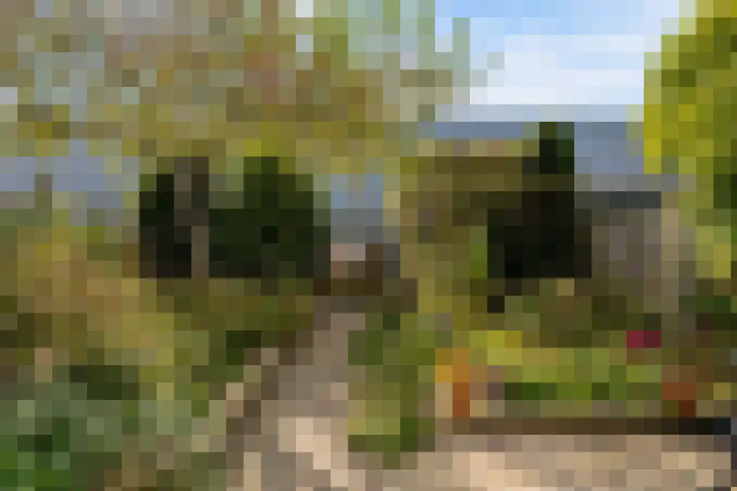 Koolzaadlaan 37 Zeewolde thumbnail 55