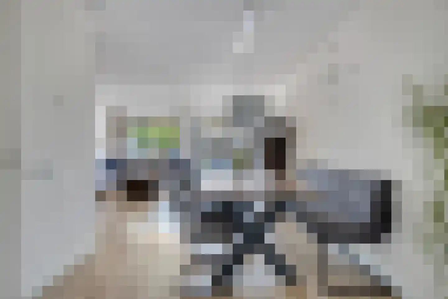 Koolzaadlaan 93 Zeewolde thumbnail 11