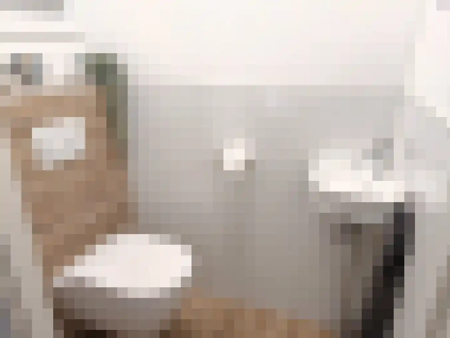 Koolzaadlaan 93 Zeewolde thumbnail 17