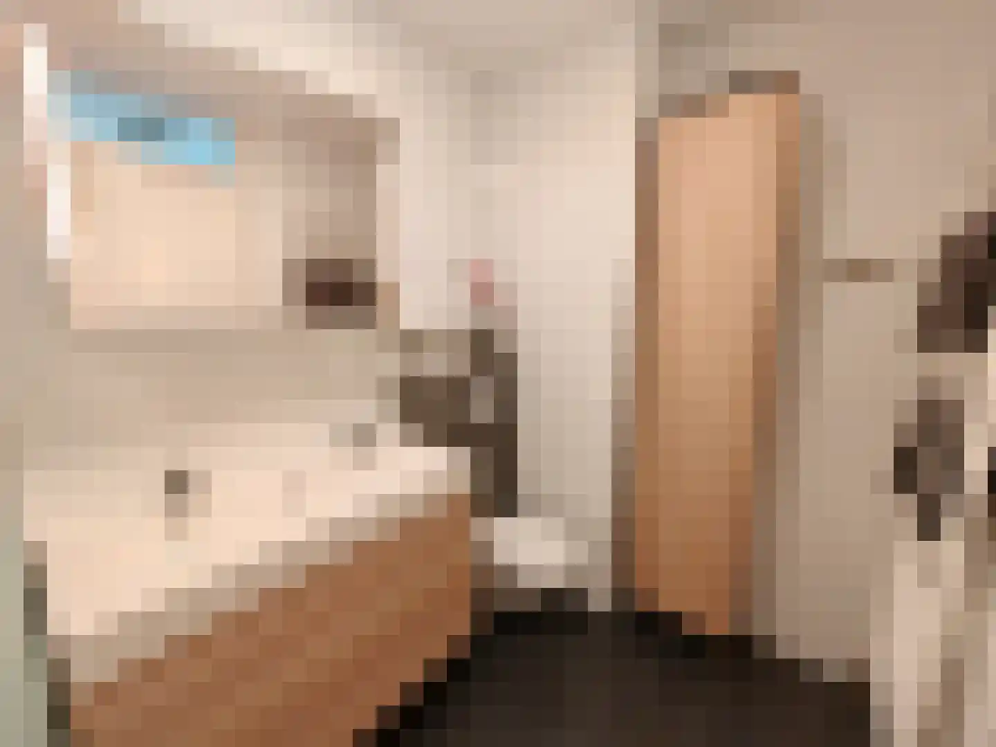 Koolzaadlaan 93 Zeewolde thumbnail 25