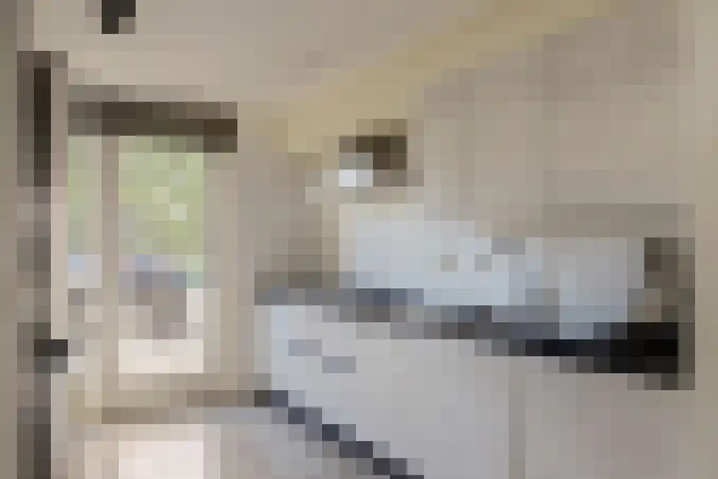 Koolzaadlaan 95 Zeewolde thumbnail 10