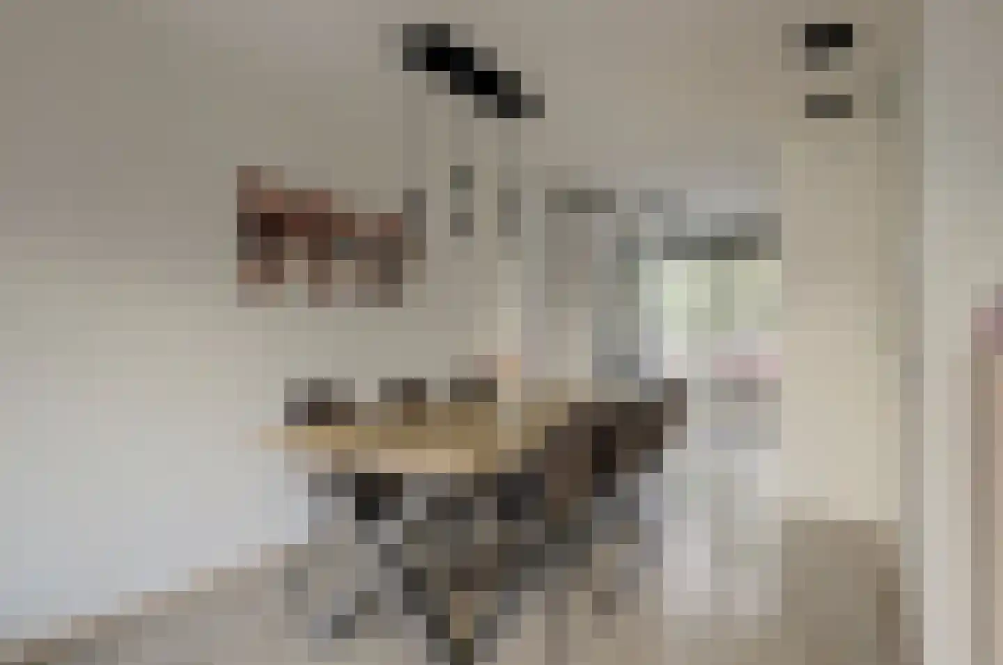 Koolzaadlaan 95 Zeewolde thumbnail 8