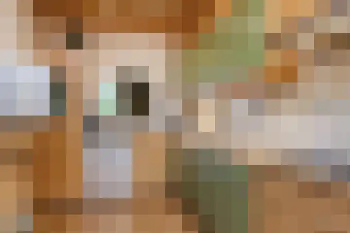 Koolzaadland 1 Leusden thumbnail 13