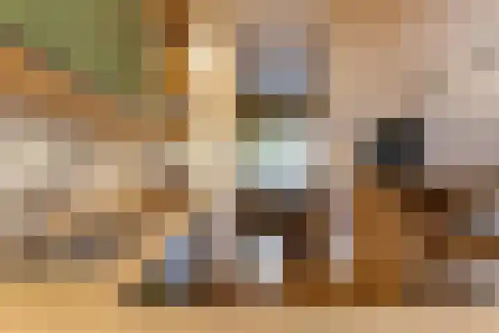 Koolzaadland 1 Leusden thumbnail 14