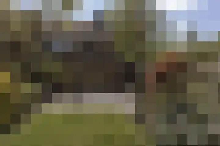 Koolzaadland 1 Leusden thumbnail 17
