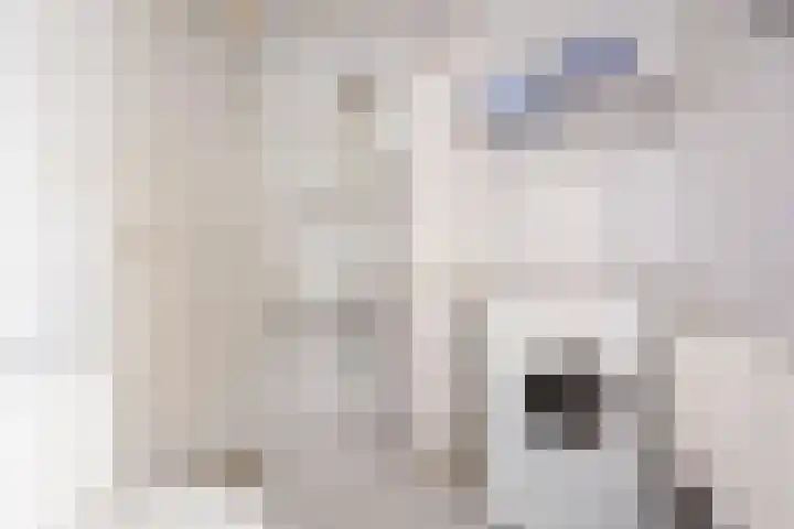 Koolzaadland 1 Leusden thumbnail 25
