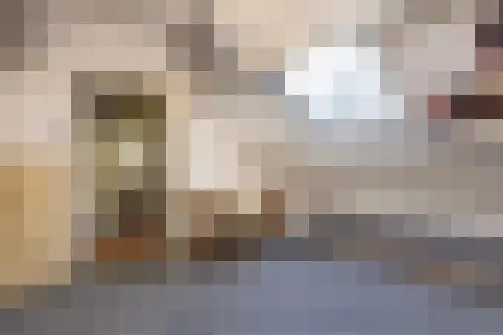 Koolzaadland 1 Leusden thumbnail 26