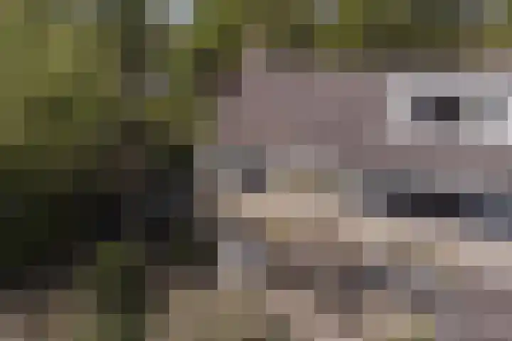 Koolzaadland 1 Leusden thumbnail 27