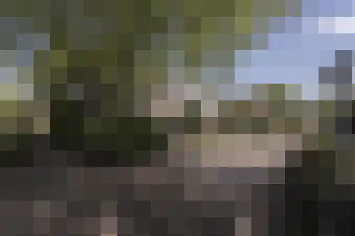 Koolzaadland 1 Leusden thumbnail 28