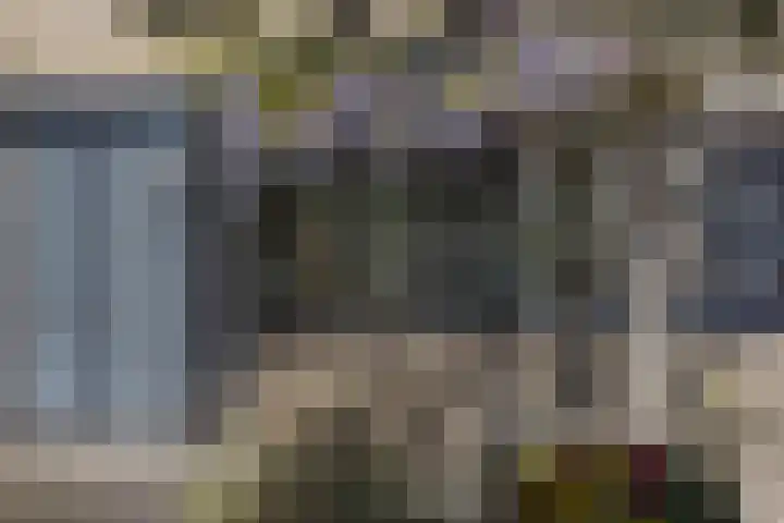 Koolzaadland 1 Leusden thumbnail 4