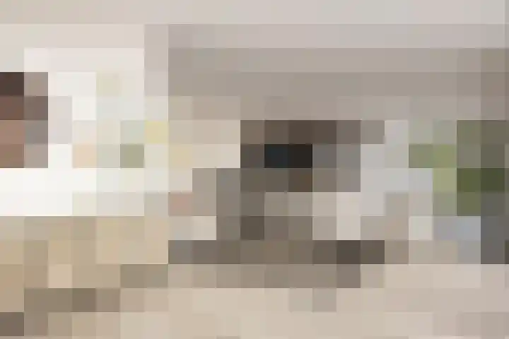 Koolzaadland 1 Leusden thumbnail 8