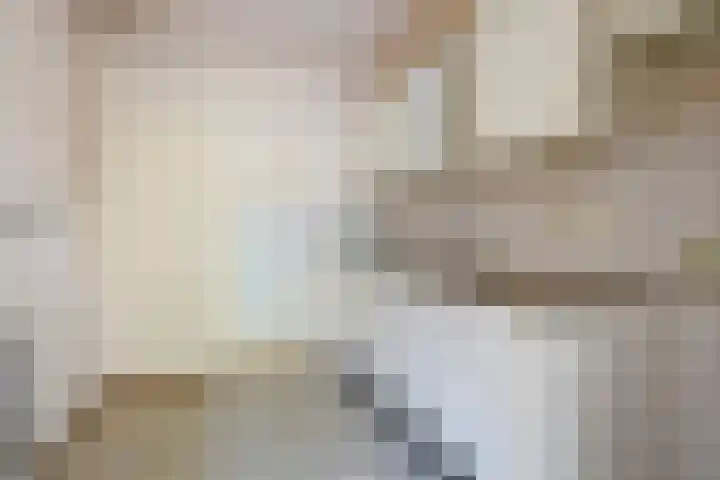 Koolzaadland 13 Leusden thumbnail 10