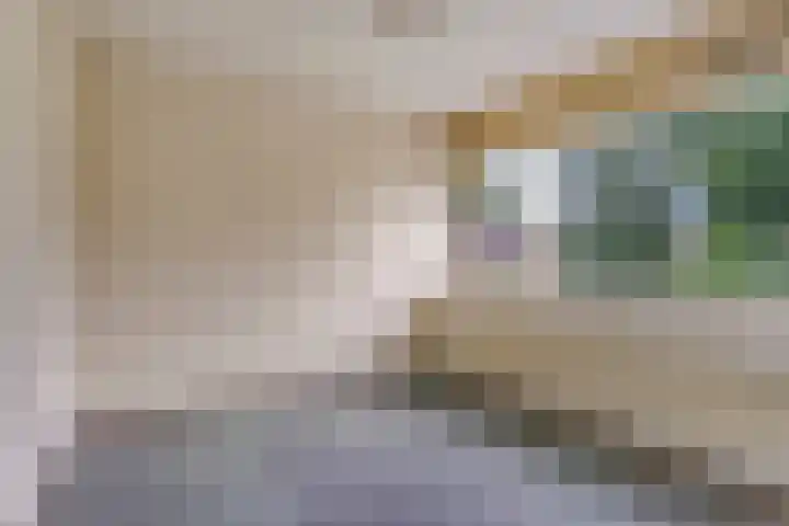 Koolzaadland 13 Leusden thumbnail 16