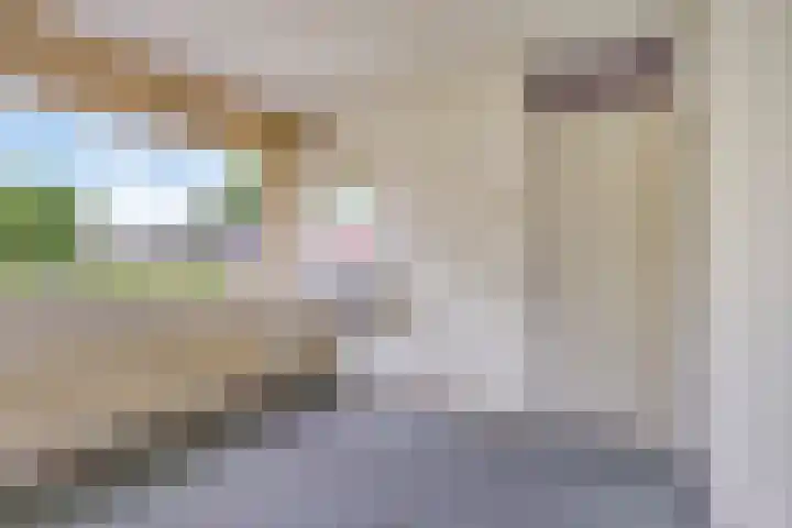 Koolzaadland 13 Leusden thumbnail 17