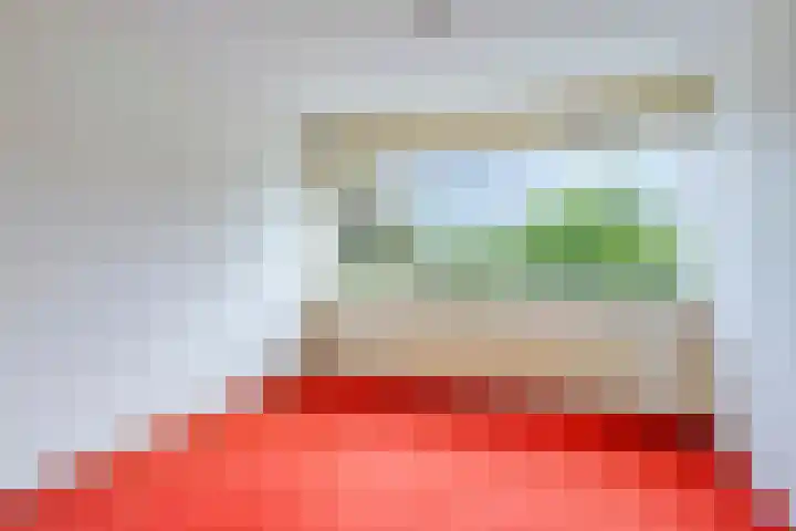Koolzaadland 13 Leusden thumbnail 22