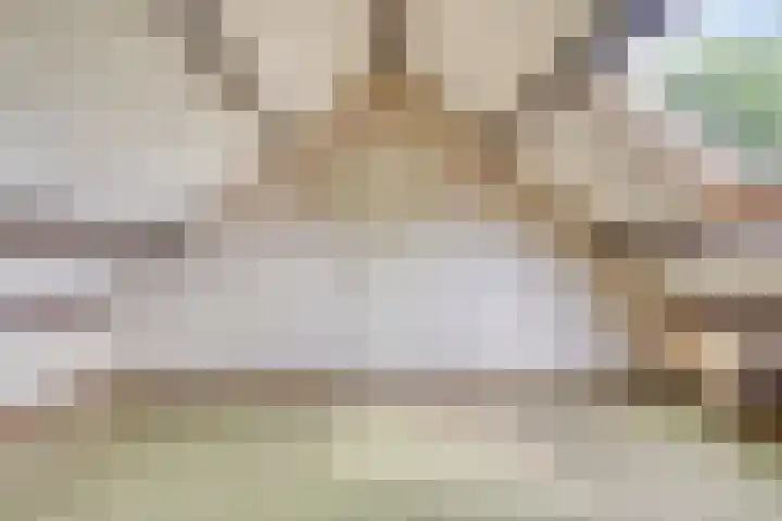 Koolzaadland 13 Leusden thumbnail 26