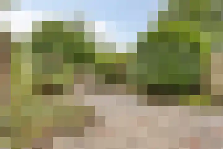 Koolzaadland 13 Leusden thumbnail 27