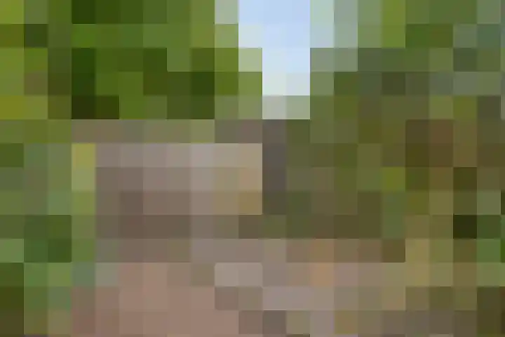 Koolzaadland 13 Leusden thumbnail 28