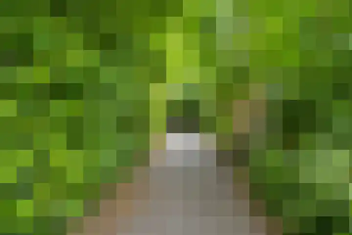 Koolzaadland 13 Leusden thumbnail 30