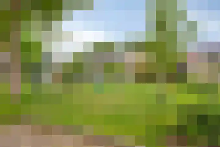 Koolzaadland 13 Leusden thumbnail 34
