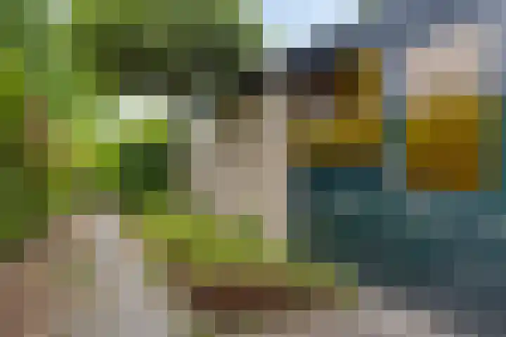 Koolzaadland 13 Leusden thumbnail 5