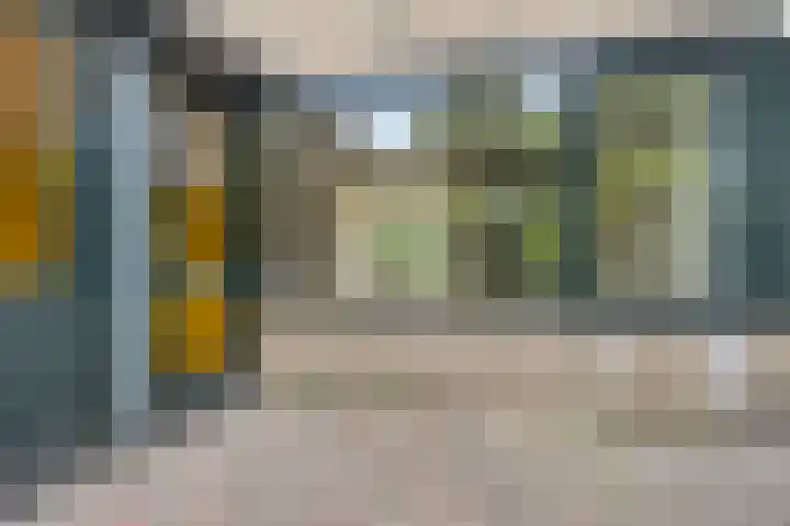 Koolzaadland 13 Leusden thumbnail 6