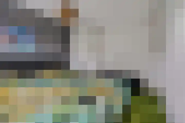 Koolzaadland 23 Leusden thumbnail 13