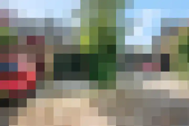 Koolzaadland 23 Leusden thumbnail 29