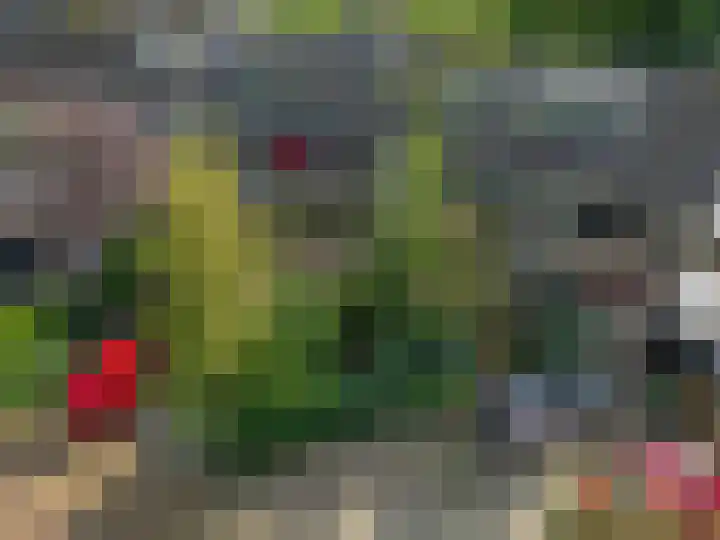 Koolzaadland 23 Leusden thumbnail 30