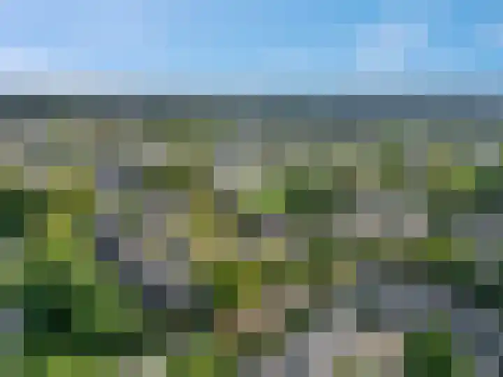 Koolzaadland 23 Leusden thumbnail 34