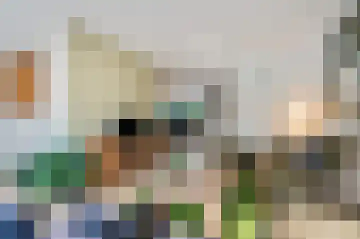 Koolzaadland 23 Leusden thumbnail 4