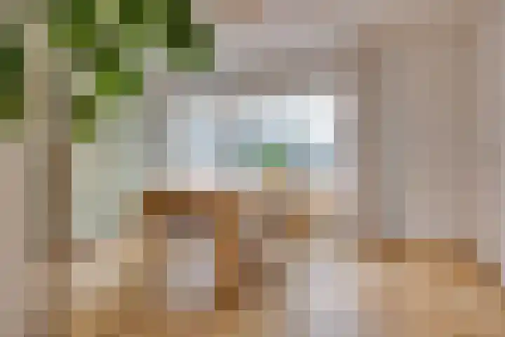 Koolzaadland 9 Leusden thumbnail 10