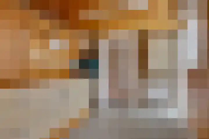Koolzaadland 9 Leusden thumbnail 15