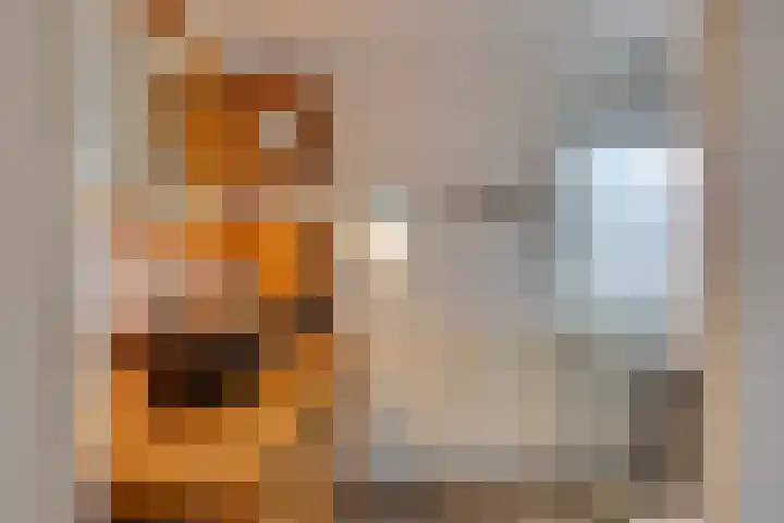 Koolzaadland 9 Leusden thumbnail 23
