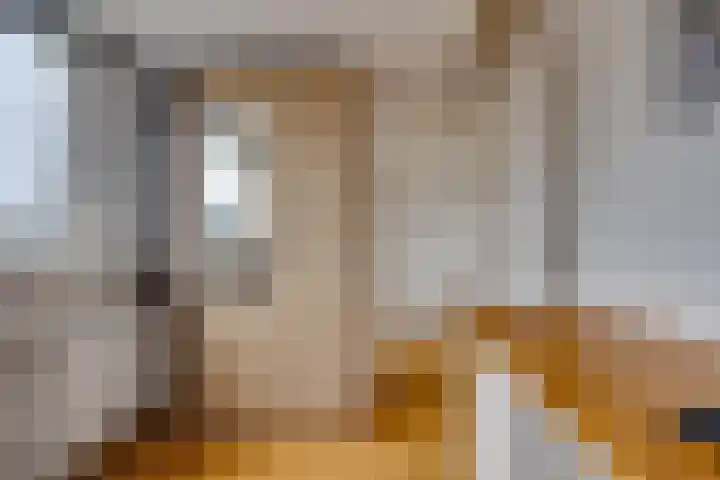 Koolzaadland 9 Leusden thumbnail 30