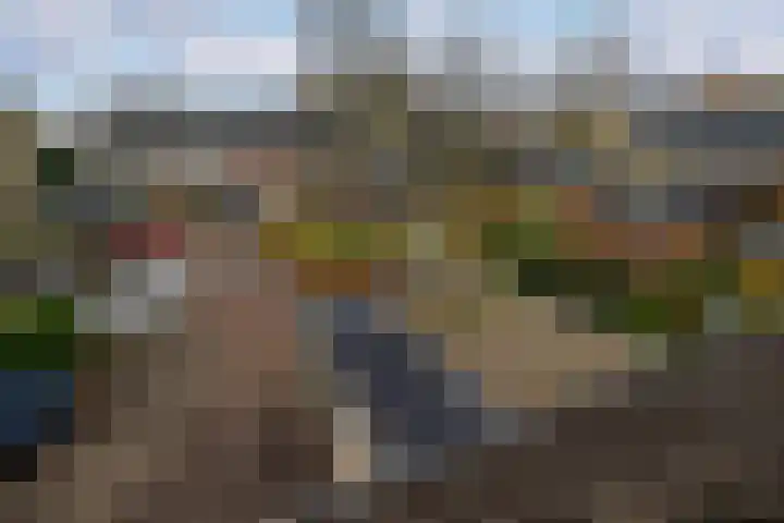 Koolzaadland 9 Leusden thumbnail 34