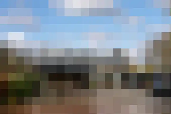 Koolzaadland 9 Leusden thumbnail 35
