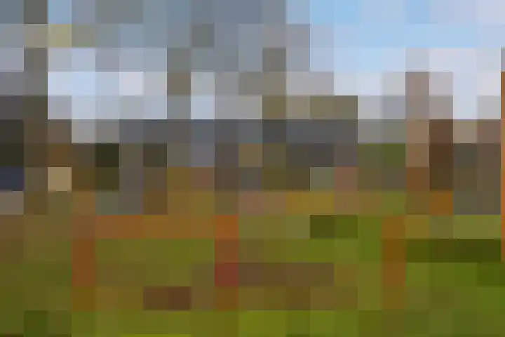 Koolzaadland 9 Leusden thumbnail 36