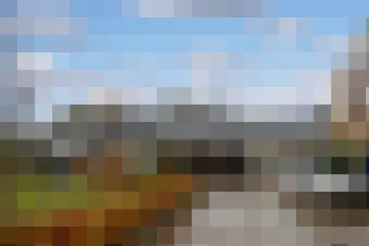 Koolzaadland 9 Leusden thumbnail 37