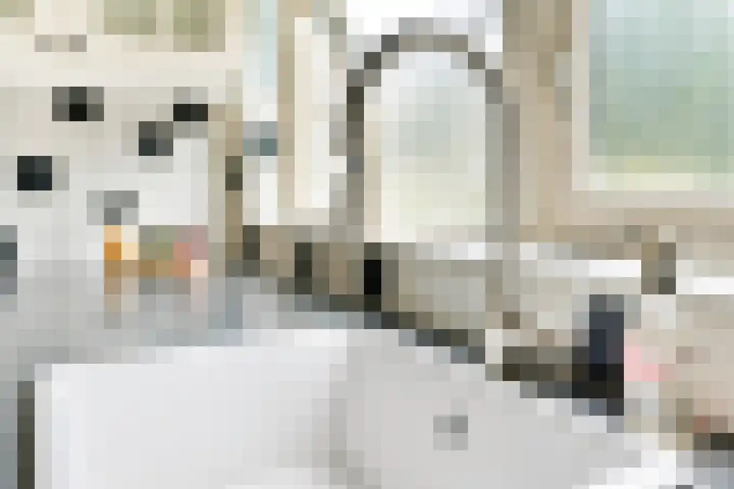 Koolzaadpad 15 Eindhoven thumbnail 22