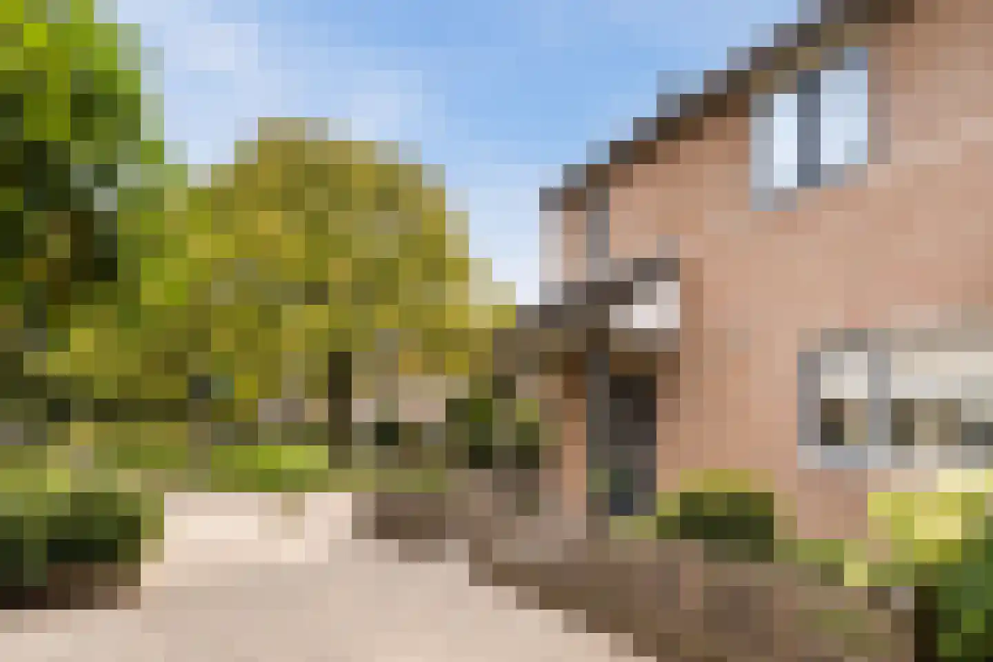 Koolzaadpad 15 Eindhoven thumbnail 5