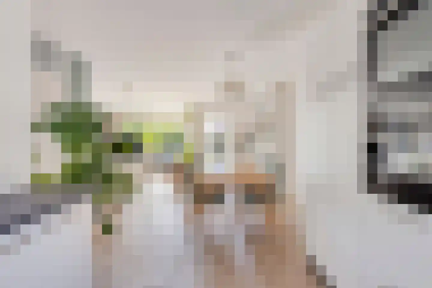 Koolzaadpad 19 Eindhoven thumbnail 19