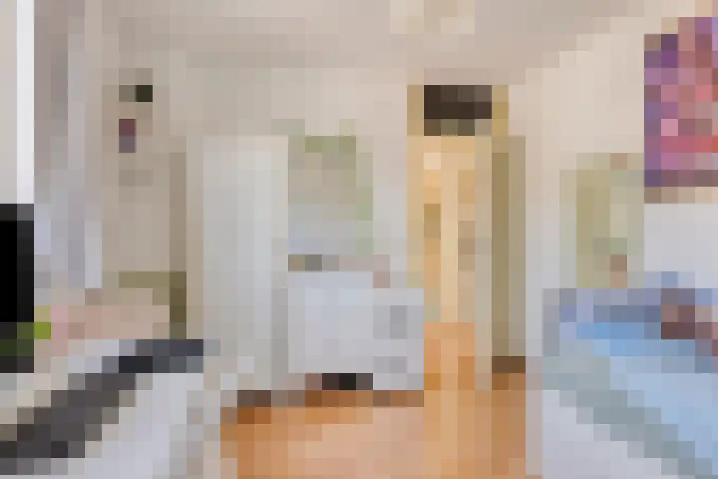 Koolzaadpad 19 Eindhoven thumbnail 28