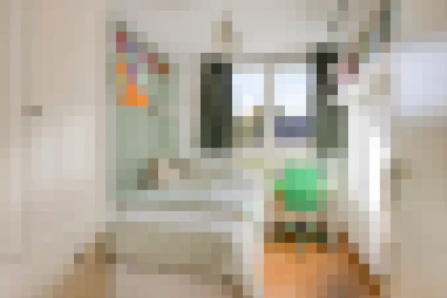Koolzaadpad 19 Eindhoven thumbnail 29
