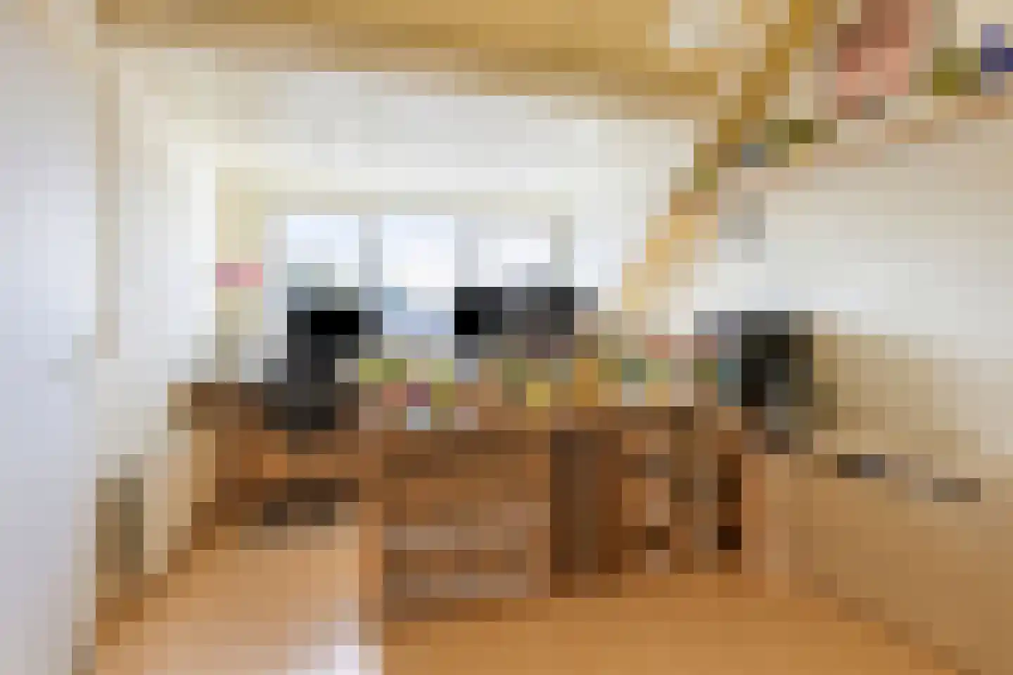 Koolzaadpad 19 Eindhoven thumbnail 32